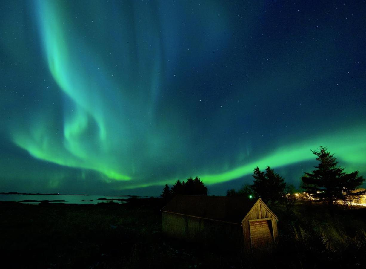 Fishermans Village Lofoten Alstad  Εξωτερικό φωτογραφία